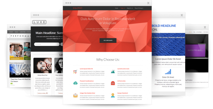 Thrive Themes