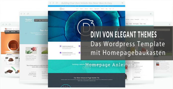 Divi 3.0 Theme Test